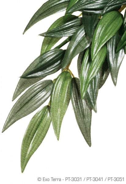 Exo Terra Rainforest Hanging Plants Rucus
